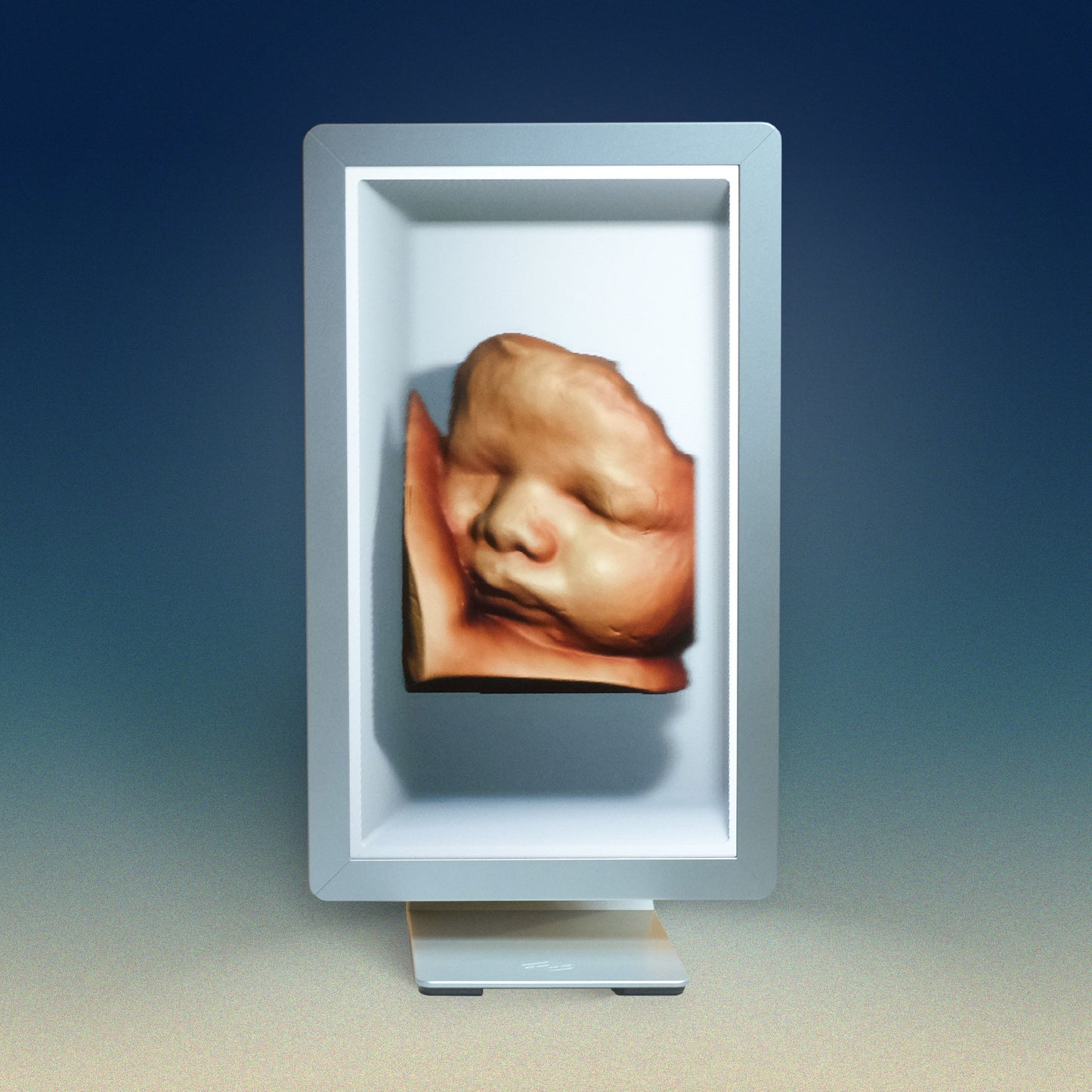 27” Light Field Display