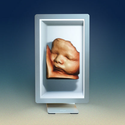 27” Light Field Display